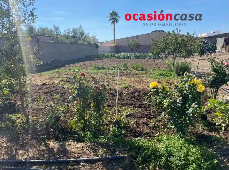 Lands and plots for sale in Belmez, imagen 5