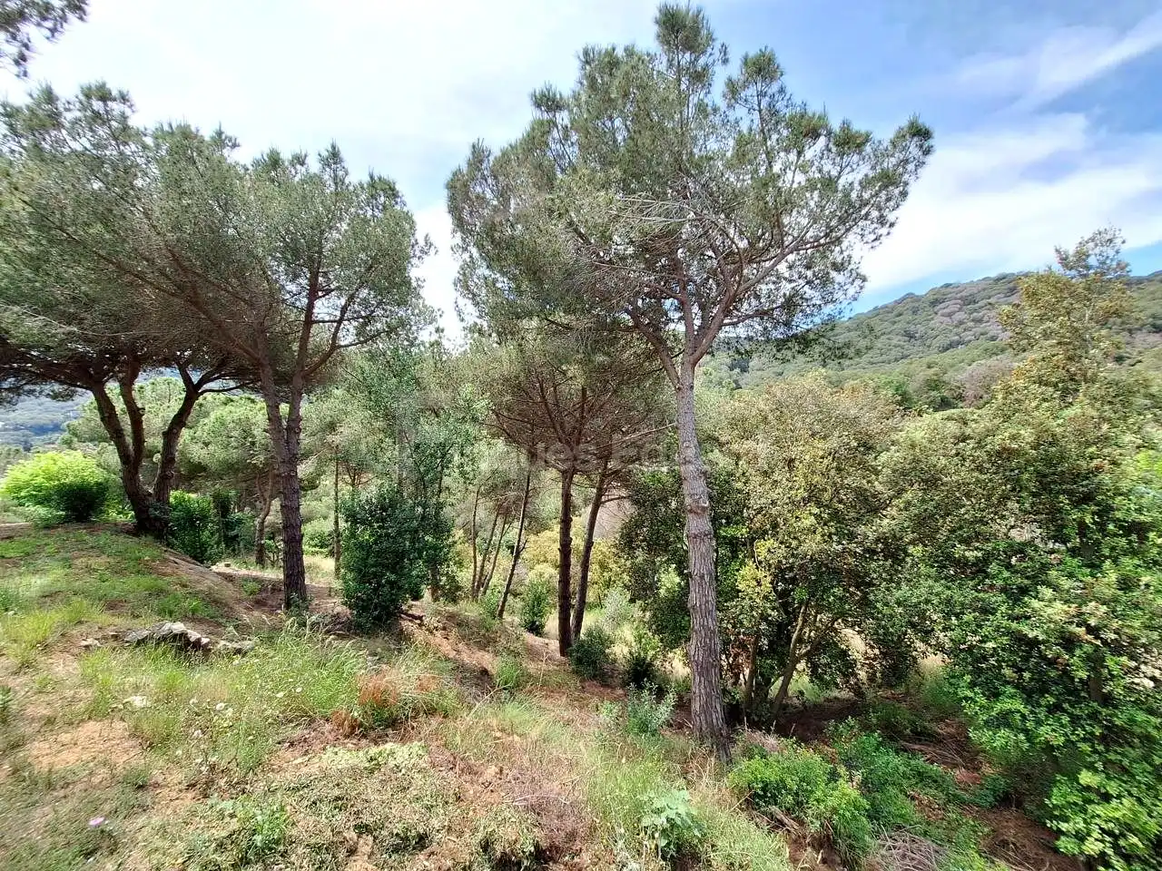 Lands and plots for sale in Nucli Urbà, imagen 4