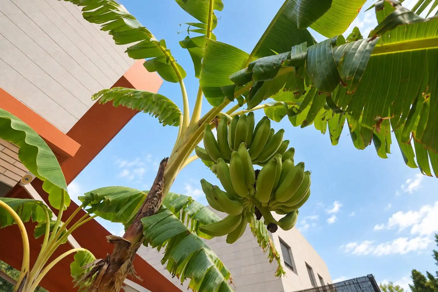 Vista exterior de Casa adosada en venta en Cambrils con Aire acondicionado, Calefacción y Terraza