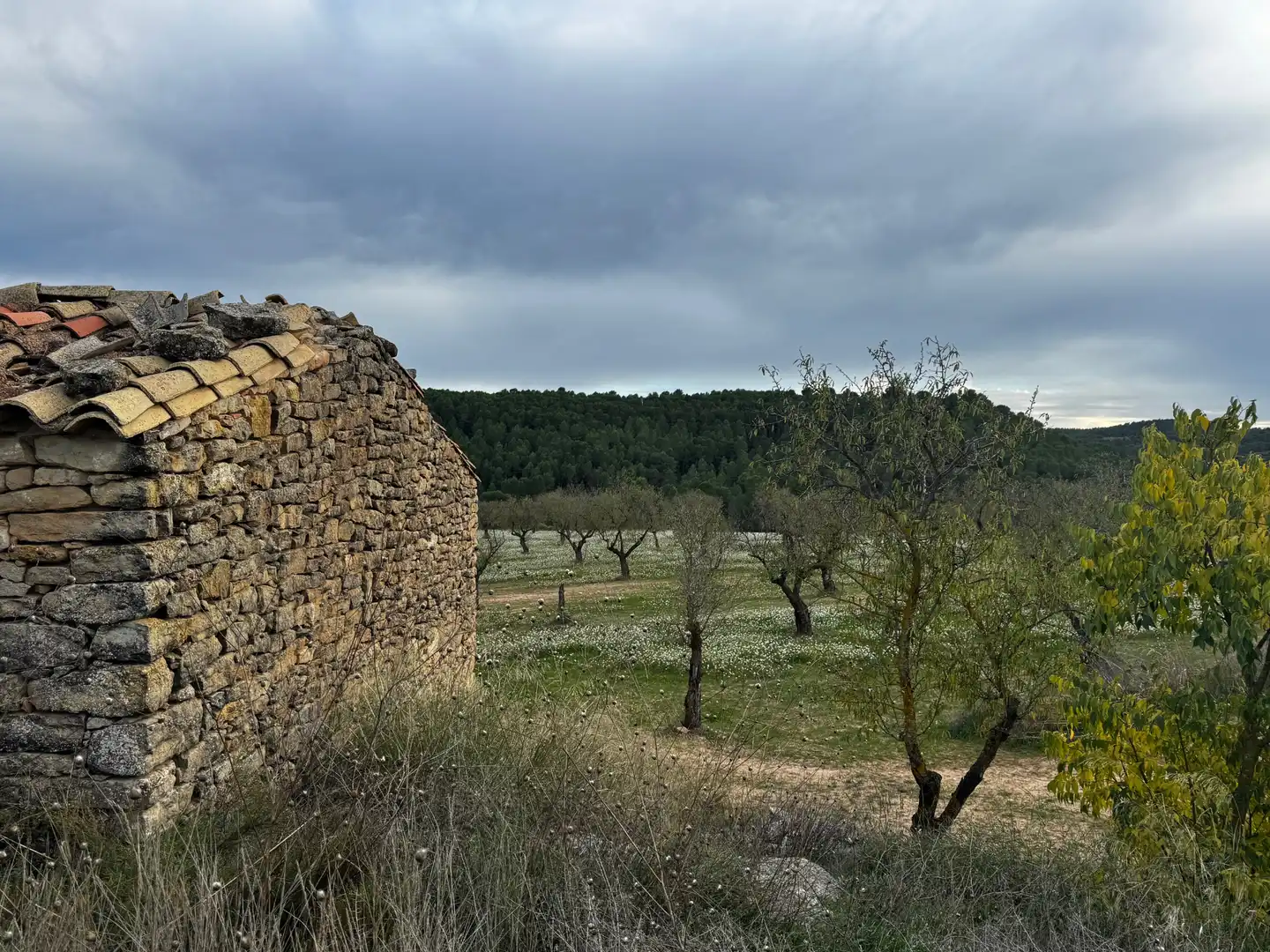 Grundstücke zum Verkauf in Mazaleón