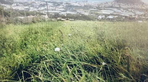 Photo 2 of Land for sale in  Polígono 5 Parcela 247 Buenavista. Galdar (las Pa, 5, Los Quintana - Piso Firme, Las Palmas