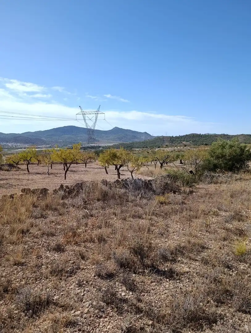 Terreno rustico in vendita a Hondón de las Nieves / El Fondó de les Neus, imagen 36