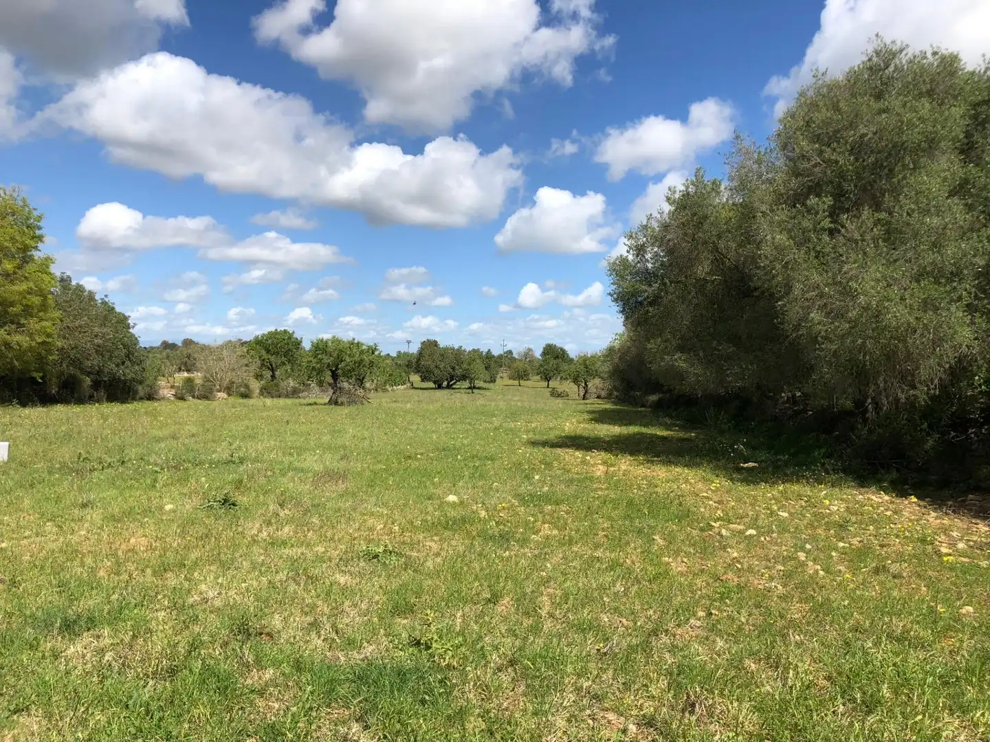 Lands and plots for sale in S'Horta - Cas Concos des Cavaller - Es Carritxó, imagen 15