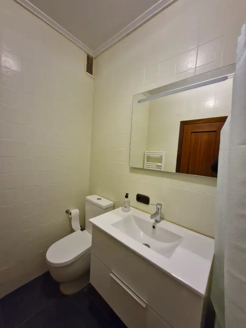 Baño de Piso de alquiler en Vitoria - Gasteiz con Calefacción, Parquet y Amueblado