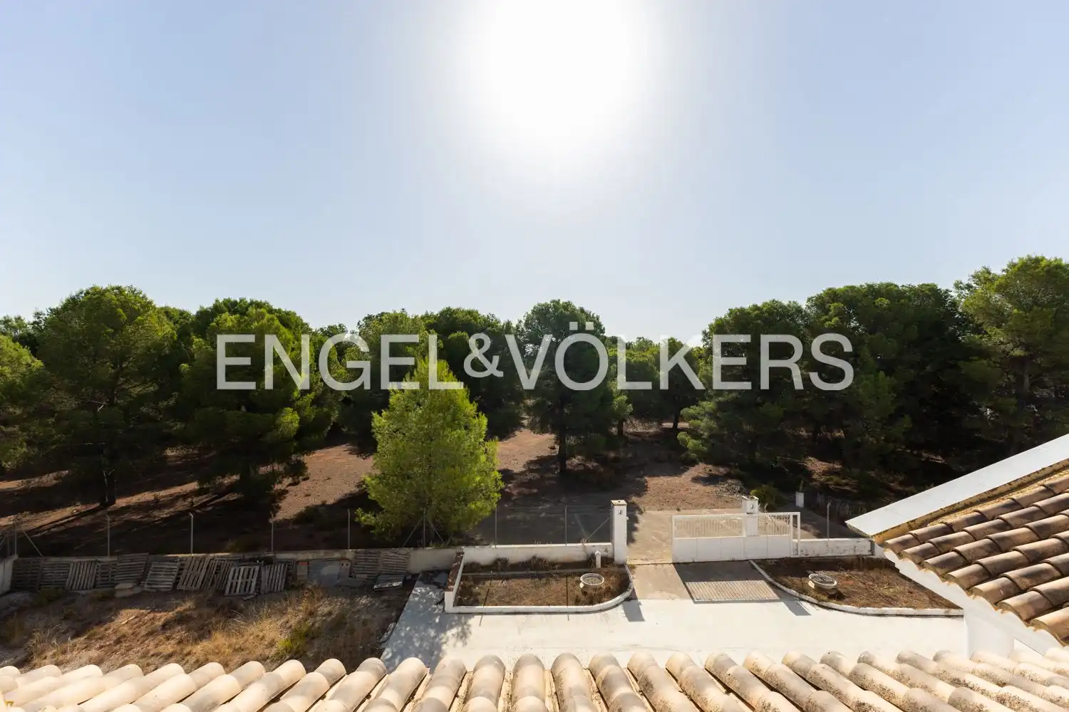 Casa con terrazza in vendita a Los Pinares - La Masia, imagen 18