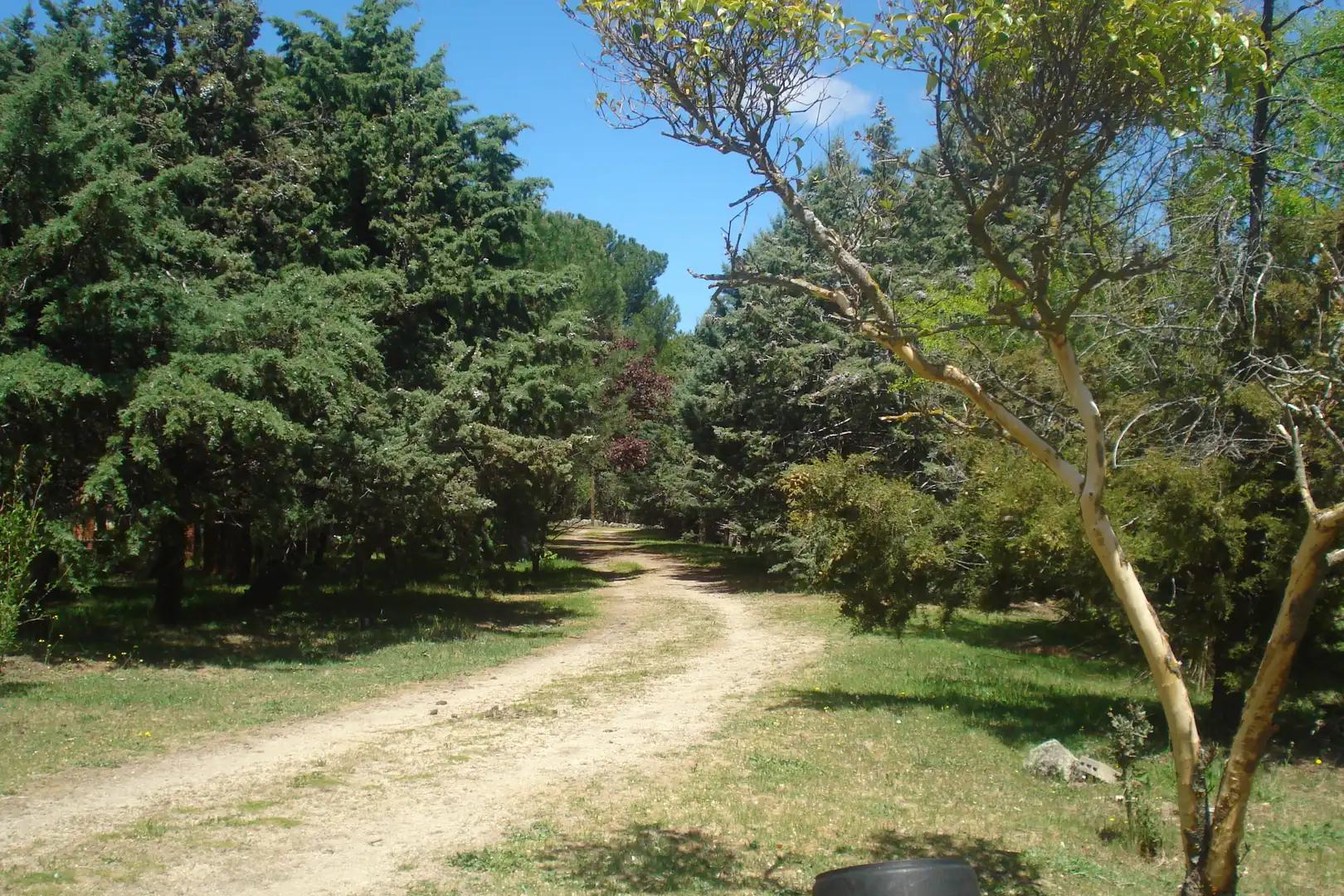 Jardí de Terreny industrial en venda en Collado Villalba