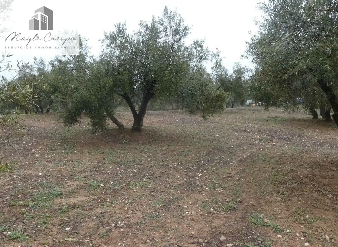 Terreni e lotti in vendita a Peligros, imagen 28