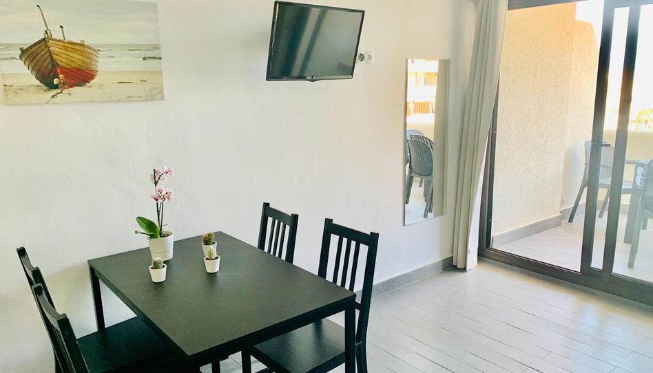 Foto 1 de Estudi de lloguer a De Rocío Jurado, Parque de la Paloma, Málaga