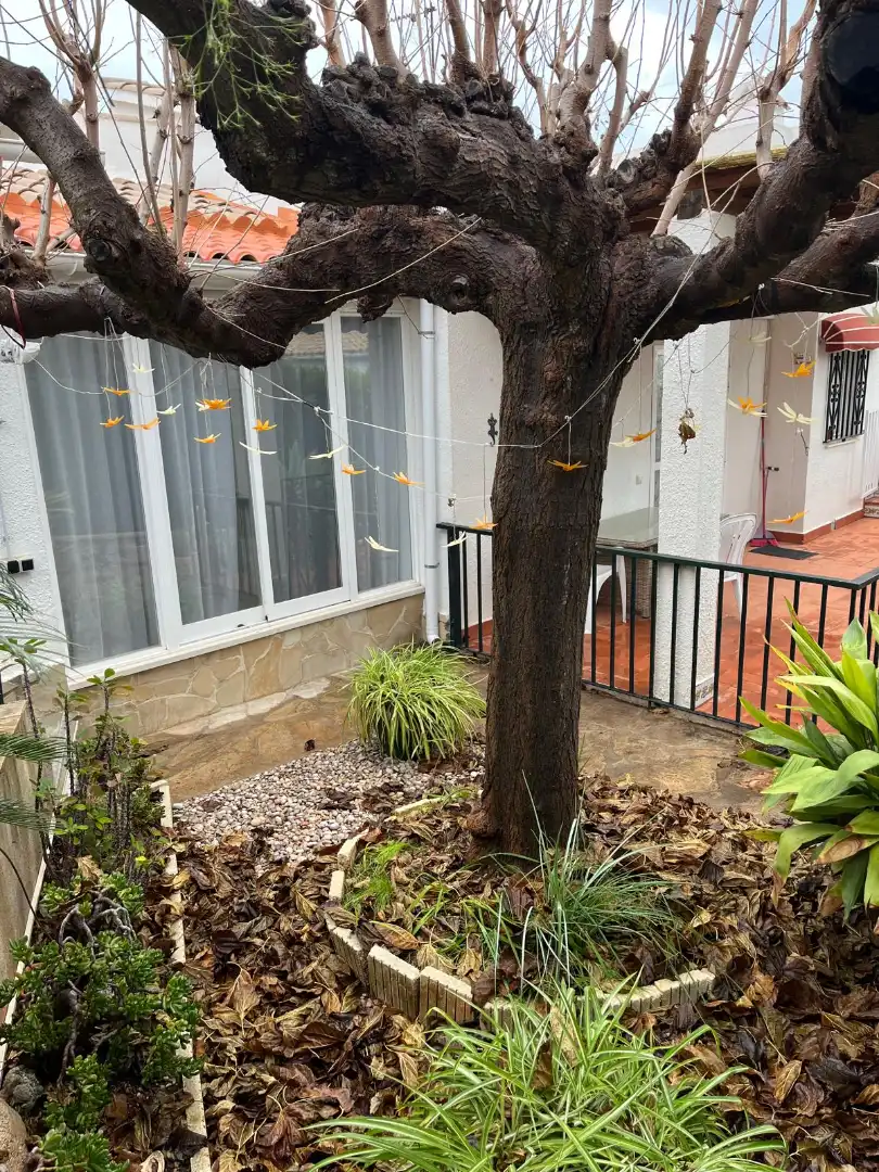 Jardín de Casa o chalet en venta en Peñíscola / Peníscola con Jardín privado, Terraza y Amueblado