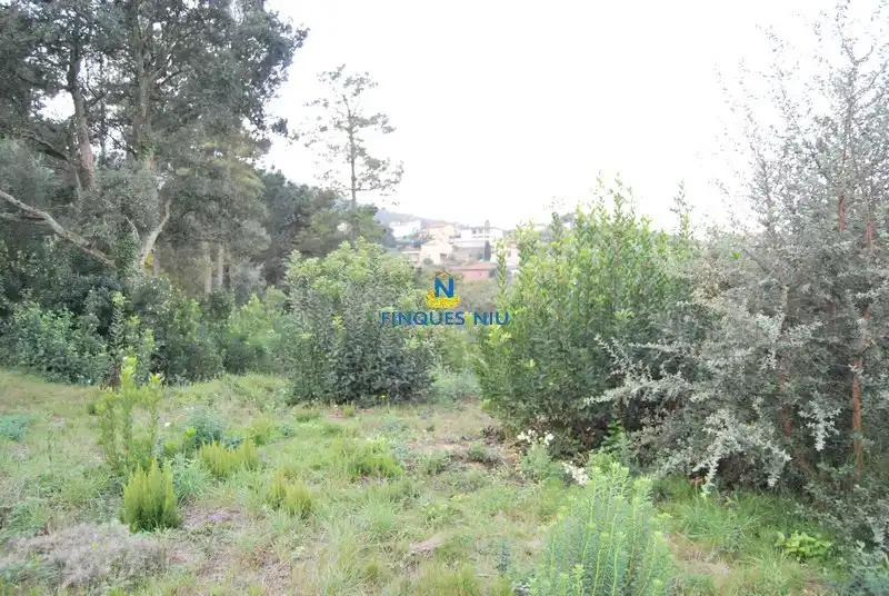 Terreny residencial en venda a Carrer Juli Cèsar 197, imagen 10