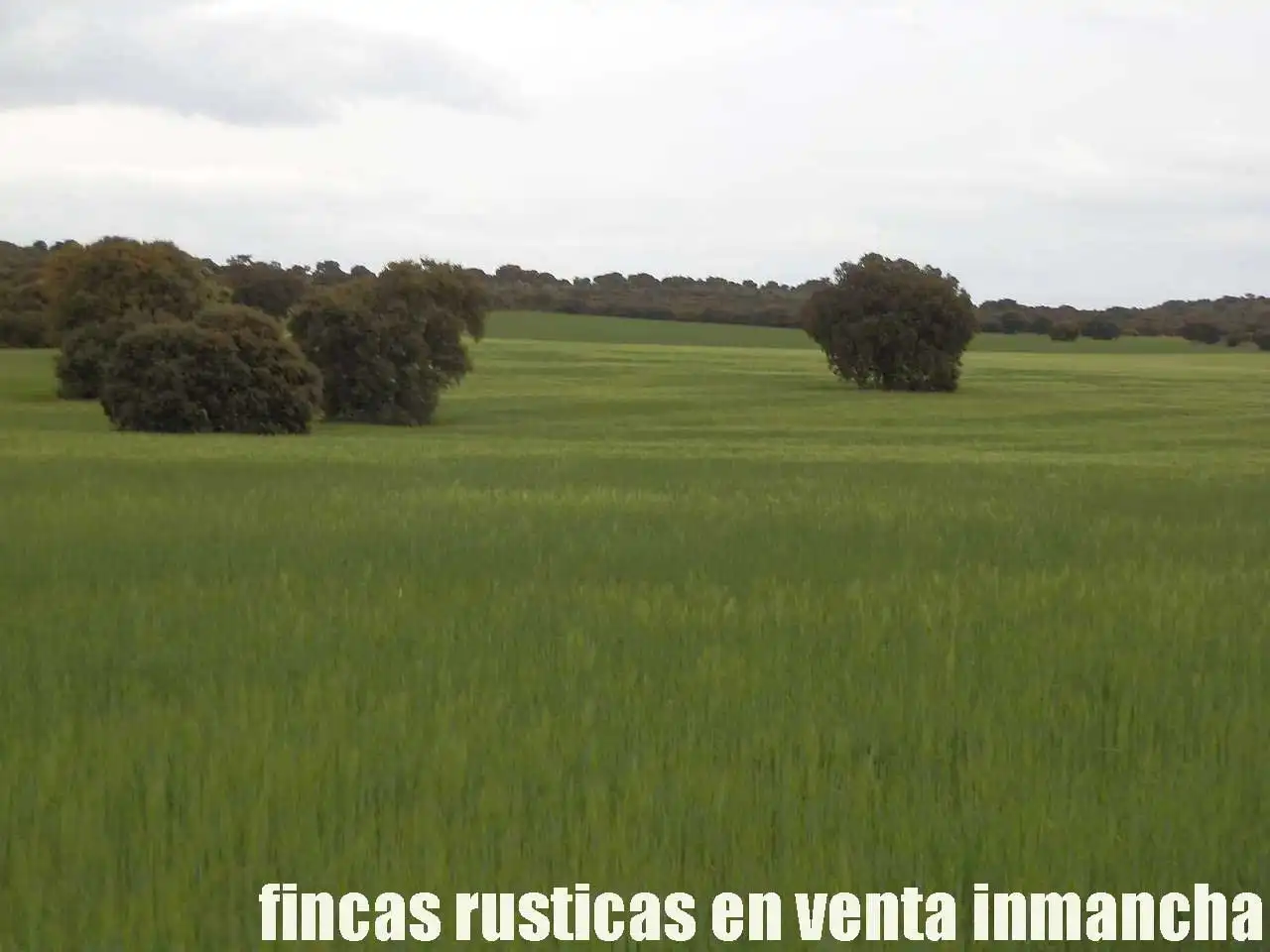 Terreno rustico in vendita a Ruidera, imagen 19