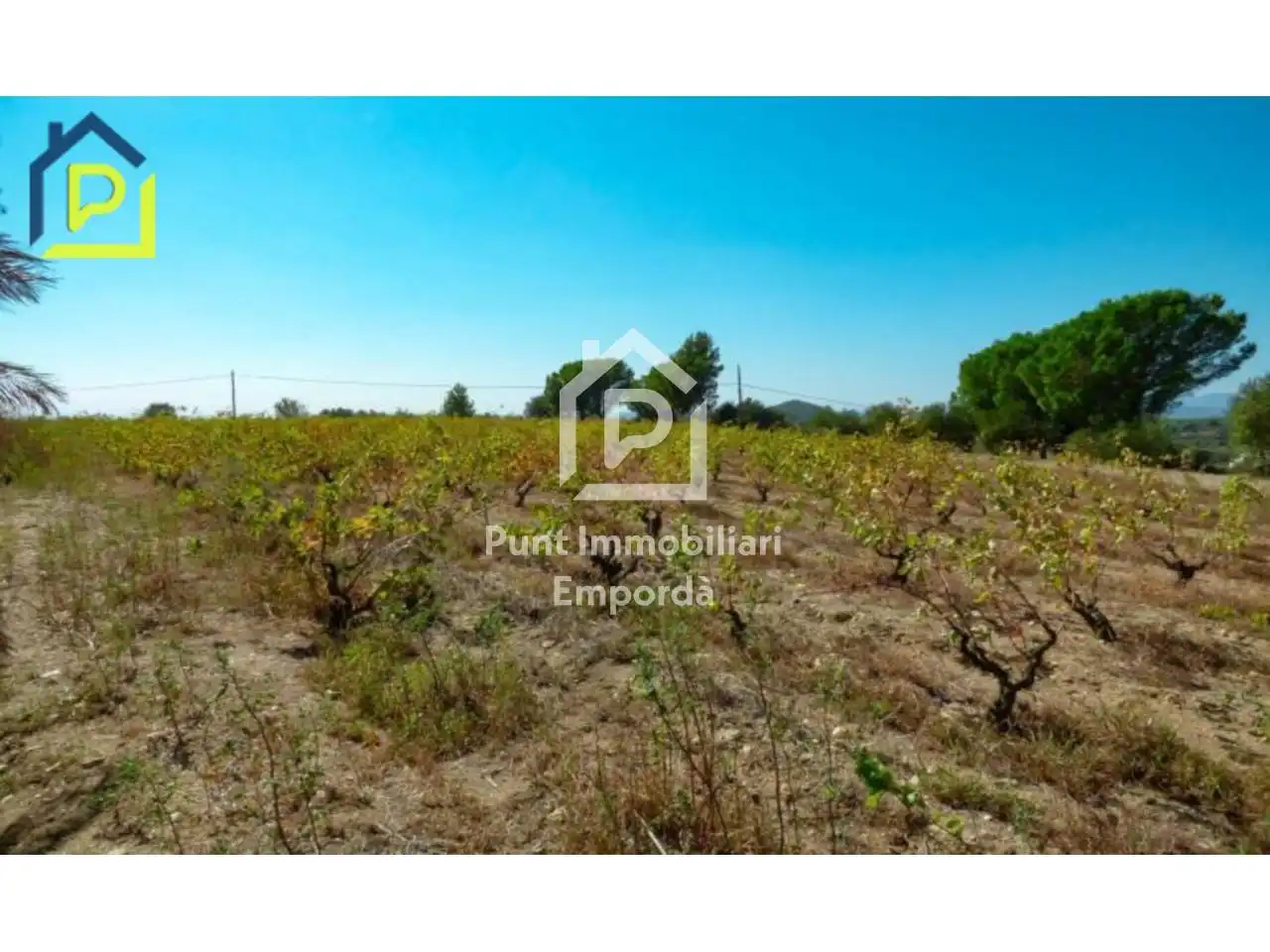 Casa o chalet en venta en Sant Climent Sescebes con Calefacción, Jardín privado y Terraza