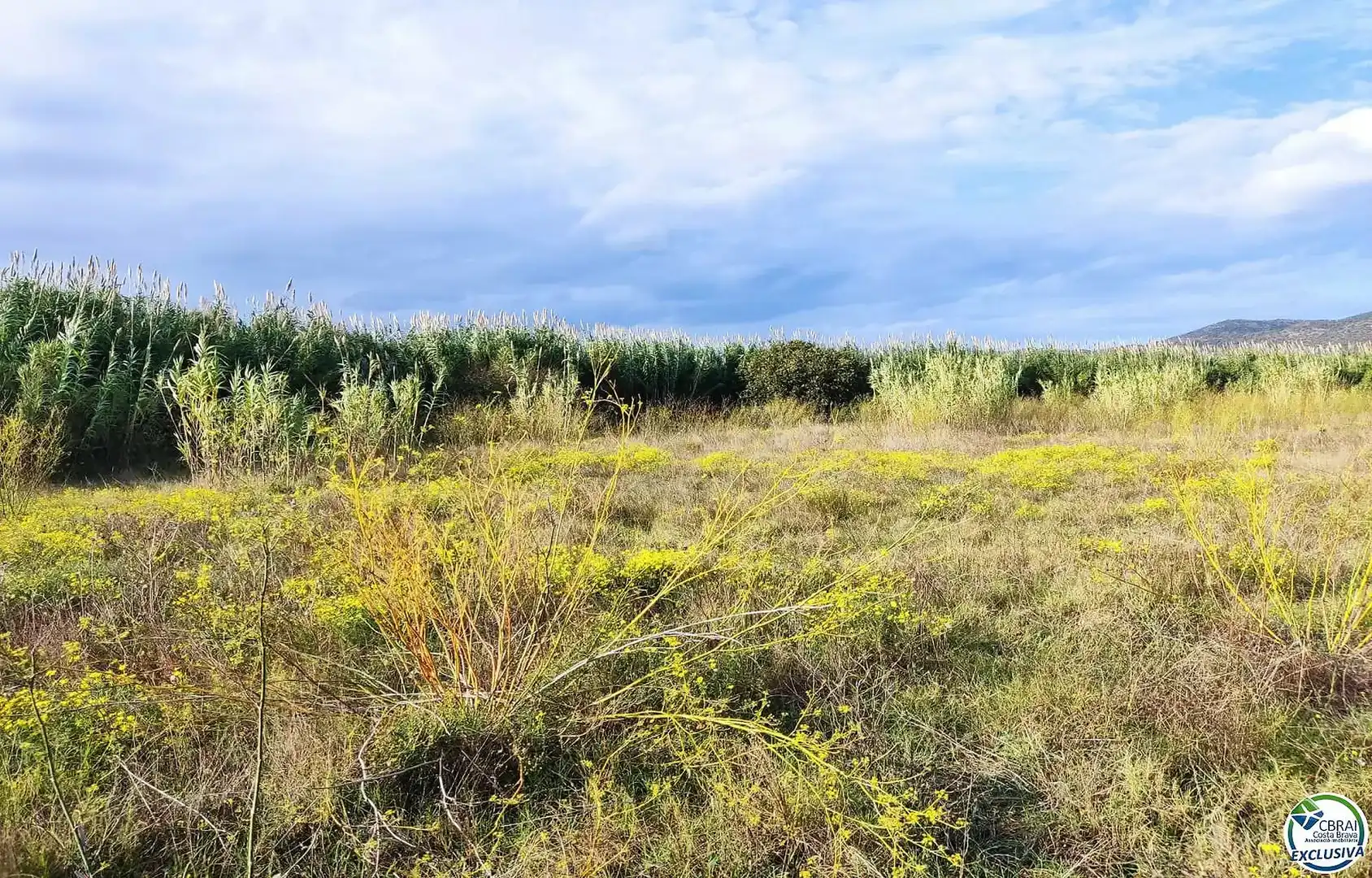 Residential land for sale in Carretera Vilamacolum 0, imagen 8
