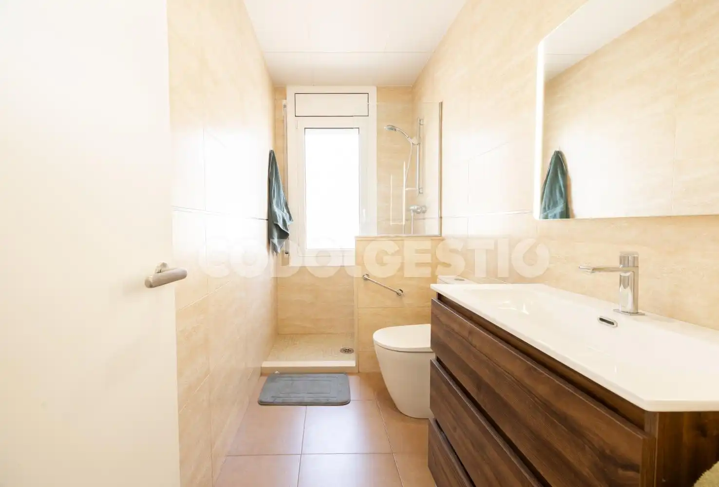 Bany de Casa o xalet en venda en Manlleu