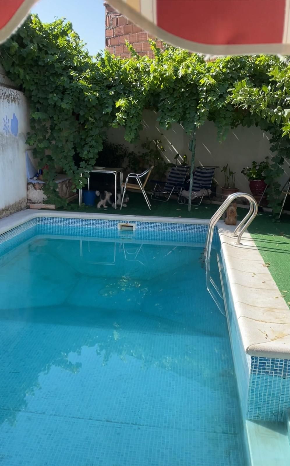 Piscina de Casa o xalet en venda en Aldea del Cano amb Aire condicionat, Terrassa i Piscina