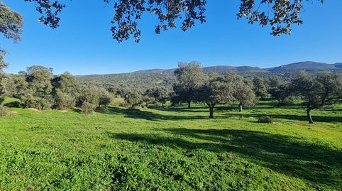 Venta de terreno junto a Puerto Calatraveño, immagine 4