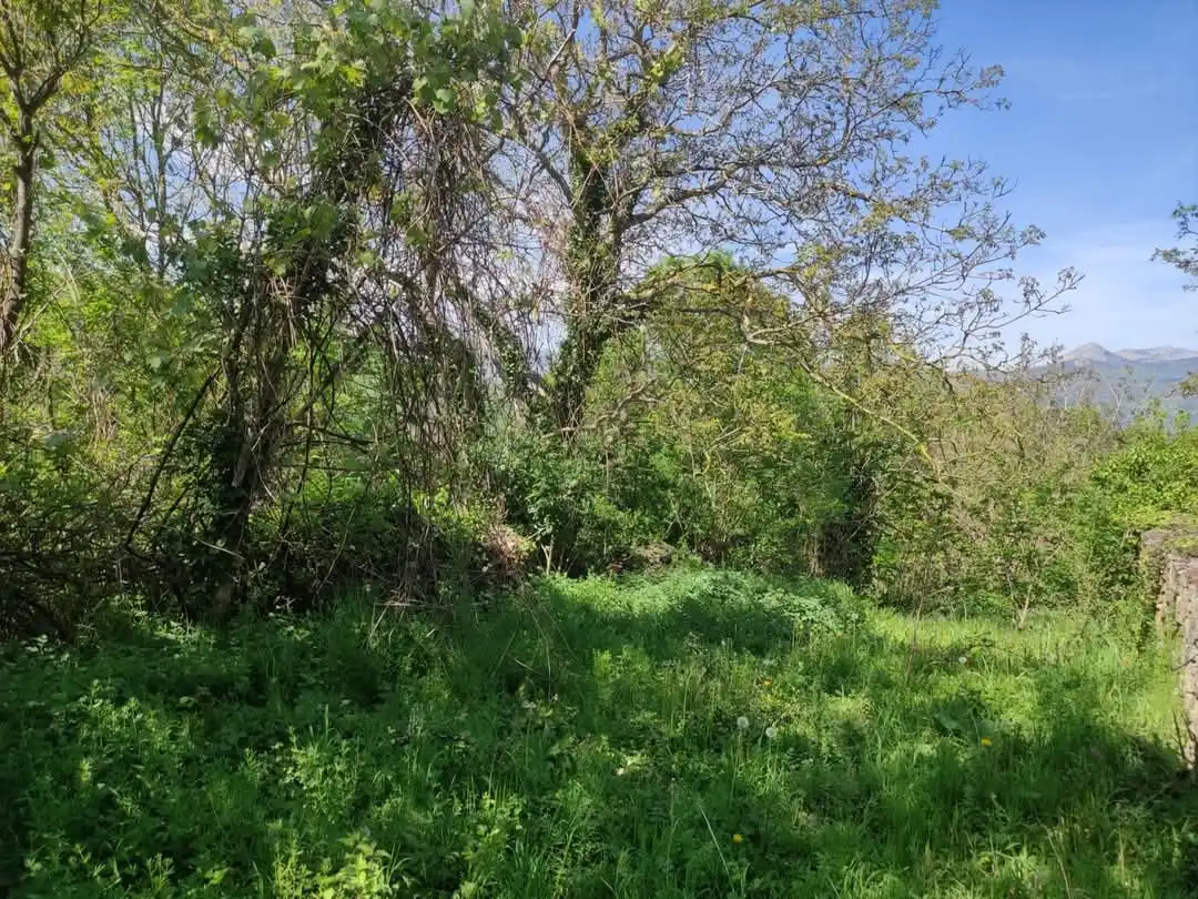 Casa o chalet en venta en Soba con Jardín privado, Terraza y Balcón