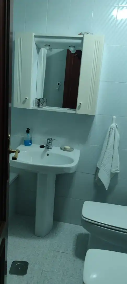 Bathroom of Flat for rent in Centro