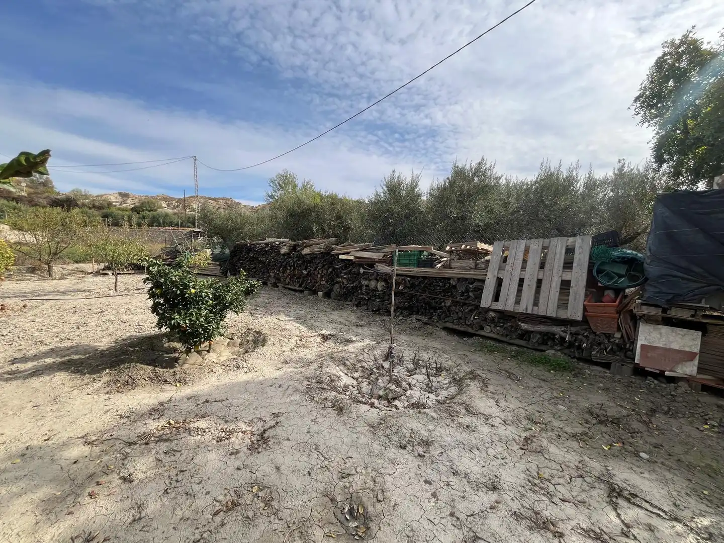 Terreno en venta en Alsodux