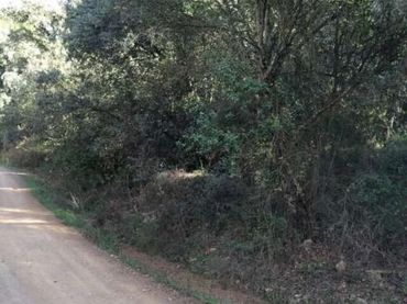 Terreno rustico in vendita a Periurbano Oeste - Sierra