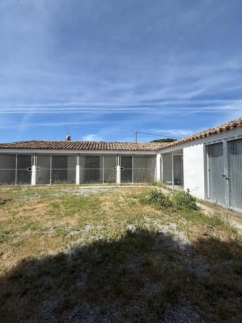 Exterior view of Houses for sale in Griñón