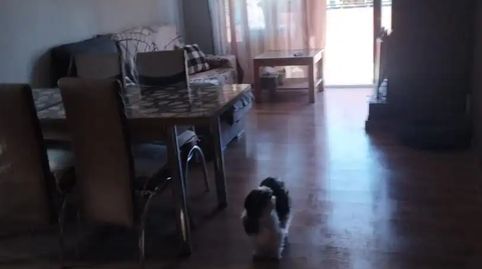 Foto 3 de Casa o xalet en venda a Avinguda del Pí, 5, Vespella de Gaià, Tarragona