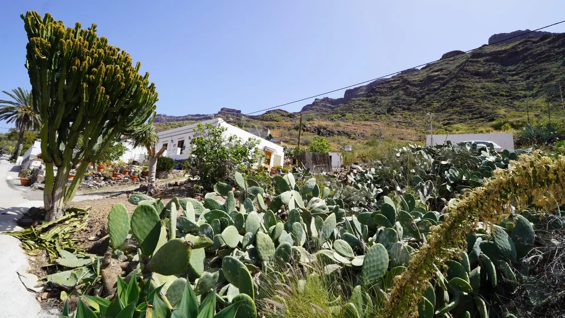 Jardín de Casa o chalet en venta en Mogán con Jardín privado, Terraza y Trastero
