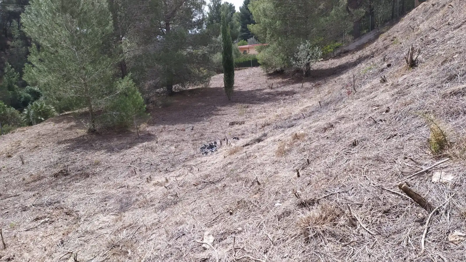 Rural land for sale in San Miguel - El Paraiso, imagen 3