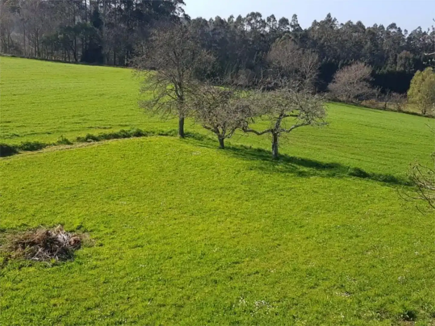Finca rústica en venta en Monfero con Jardín privado