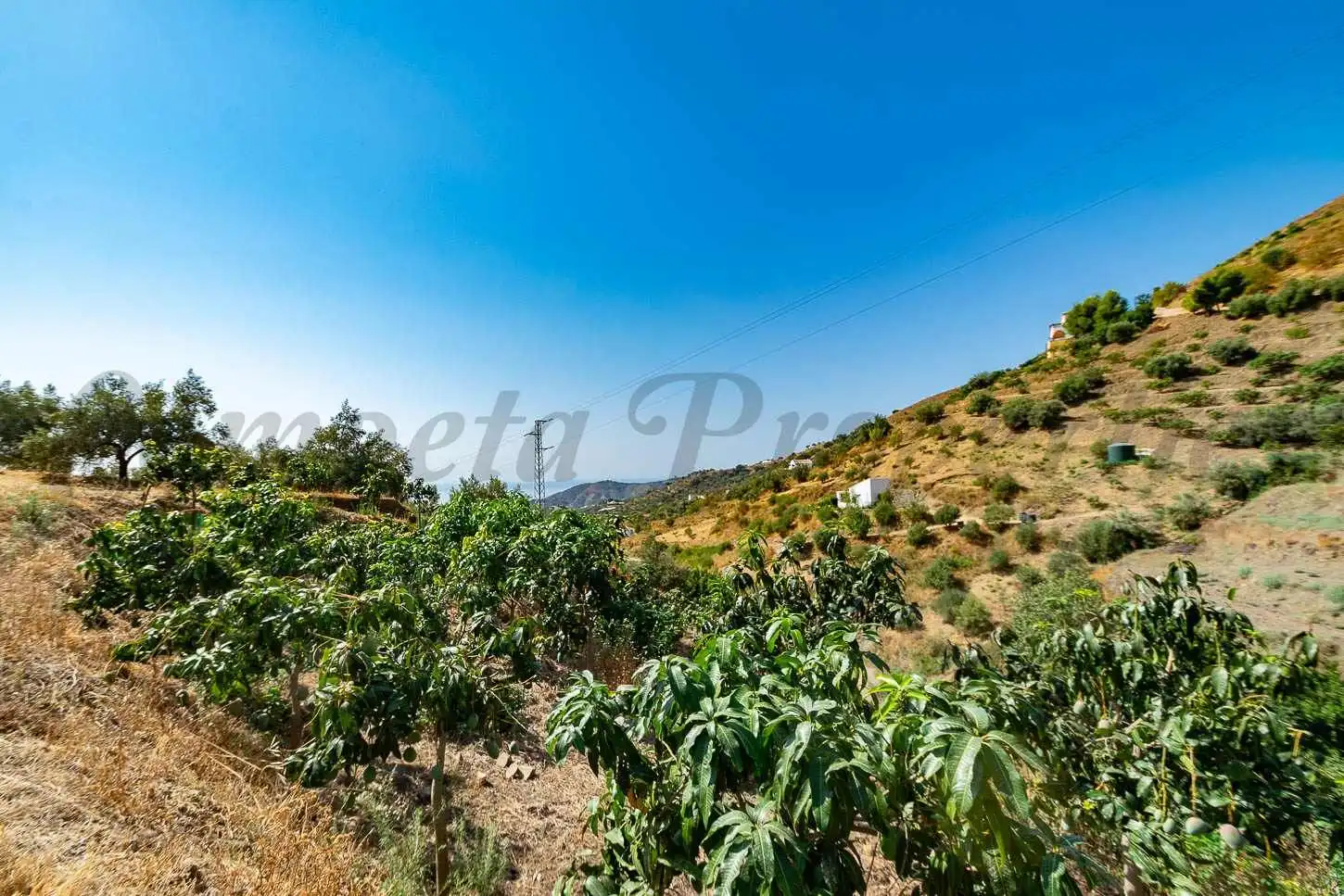 Rustikales Grundstück zum Verkauf in Torrox Pueblo, imagen 8