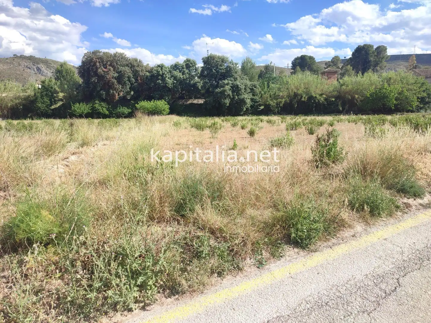 Terrain rustique à vendre à El Llombo