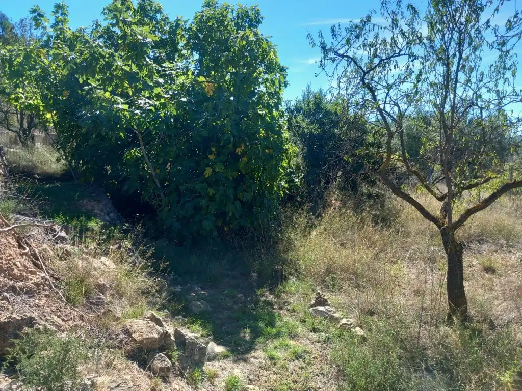 Terreno en venta en Tuéjar