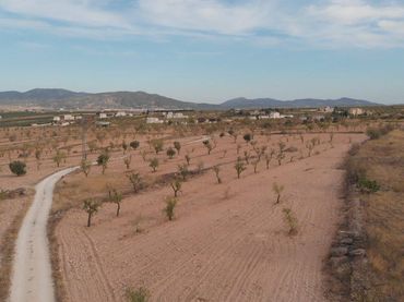 Terreno rustico in vendita a Yecla