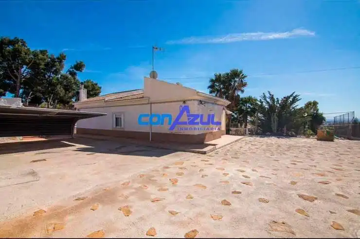 Jardí de Casa o xalet en venda en Elche / Elx amb Jardí privat, Terrassa i Piscina