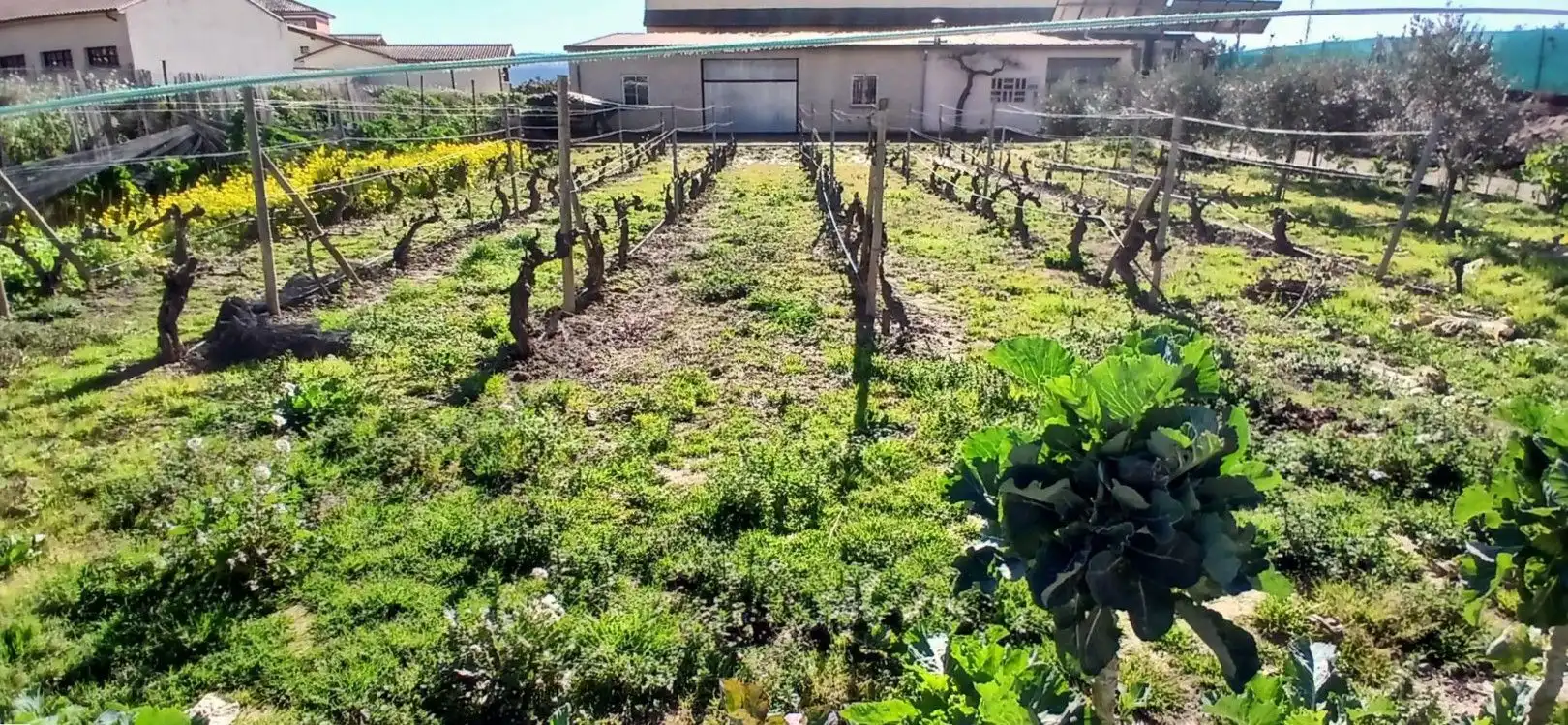 Casa o chalet en venta en Lapuebla de Labarca con Trastero