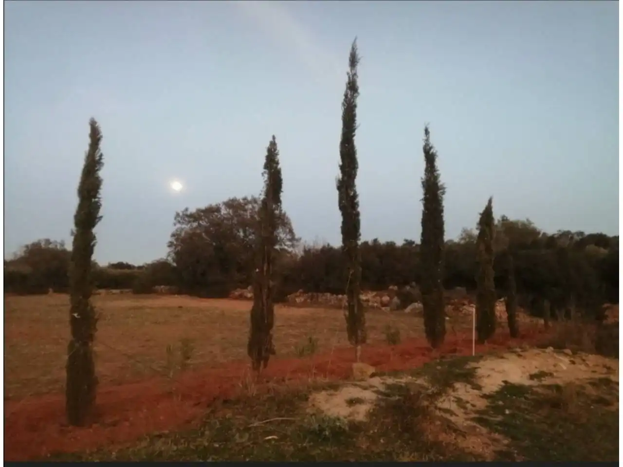 Rural land for sale in Calle Camino de Godall, imagen 4
