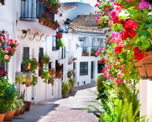 Exterior view of Study for sale in Benalmádena  with Storage room