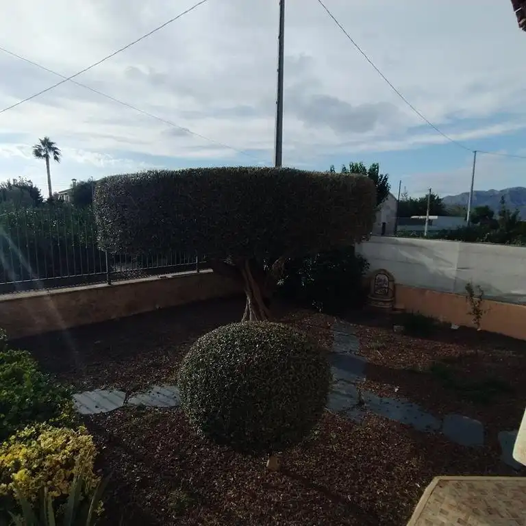 Jardí de Casa o xalet en venda en Orihuela amb Aire condicionat, Jardí privat i Terrassa