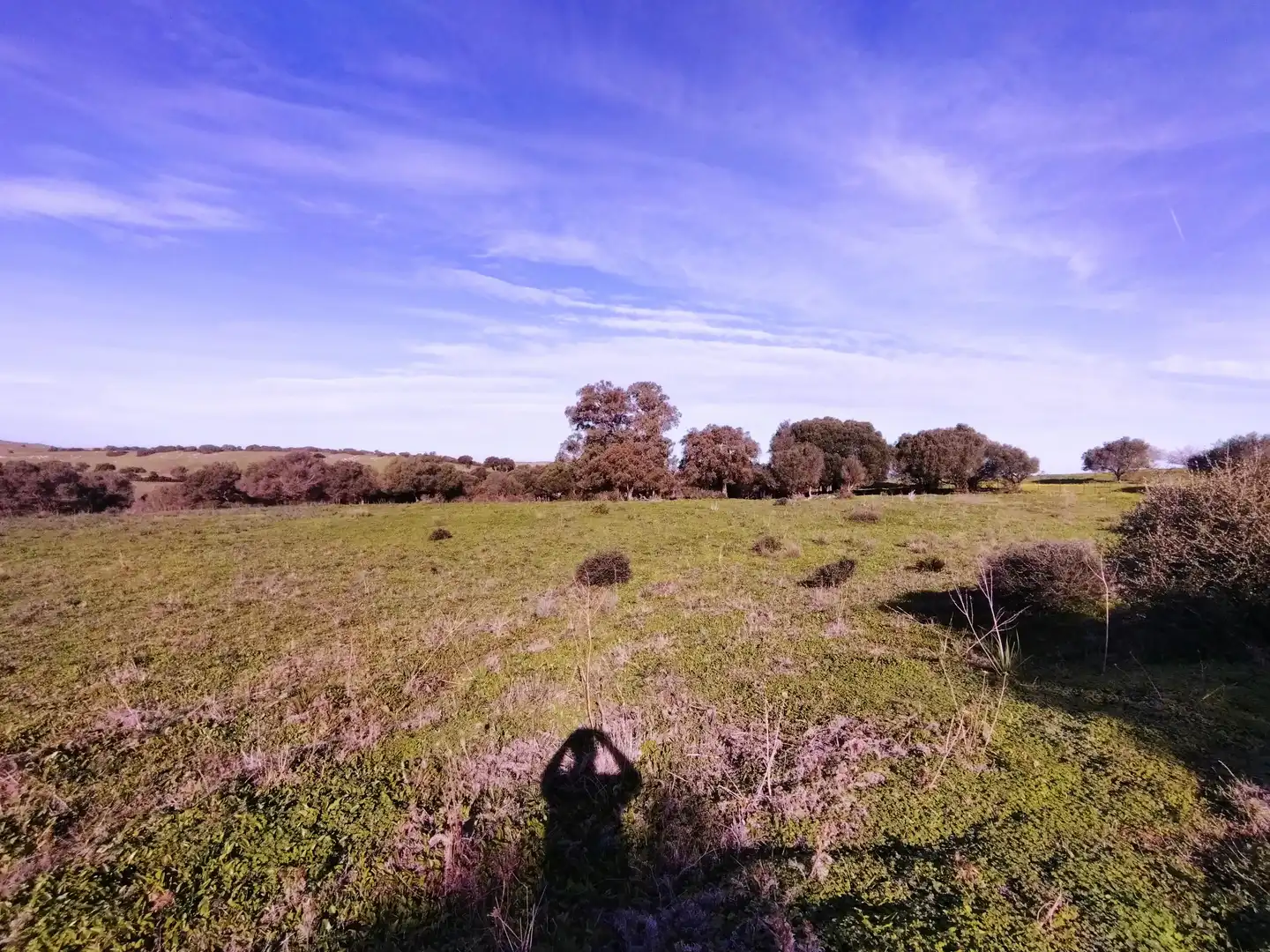 Terreno rustico in vendita a Carretera Arroyo San Ambrosio 385, imagen 18