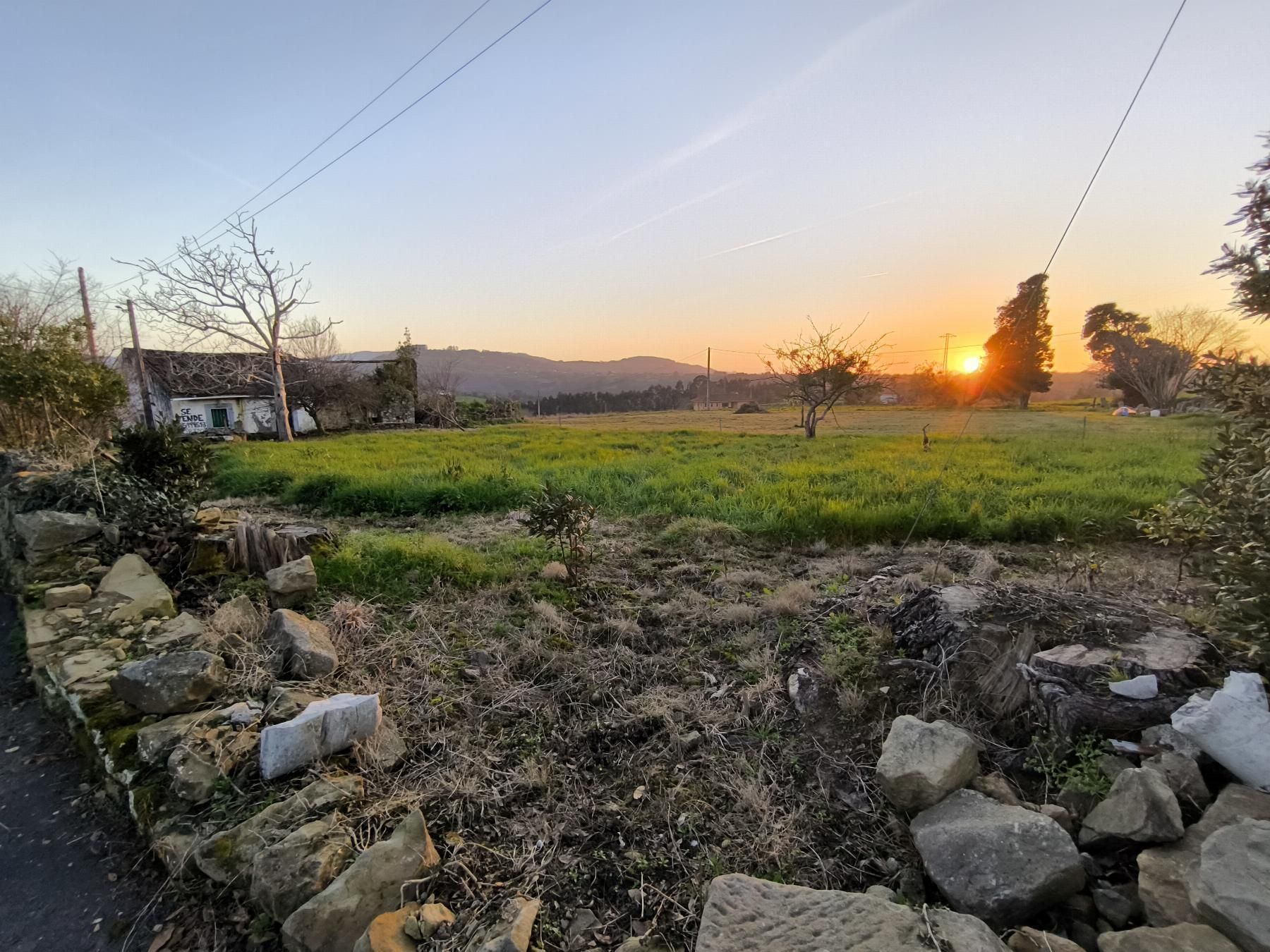 Casa o chalet en venta en Villaviciosa