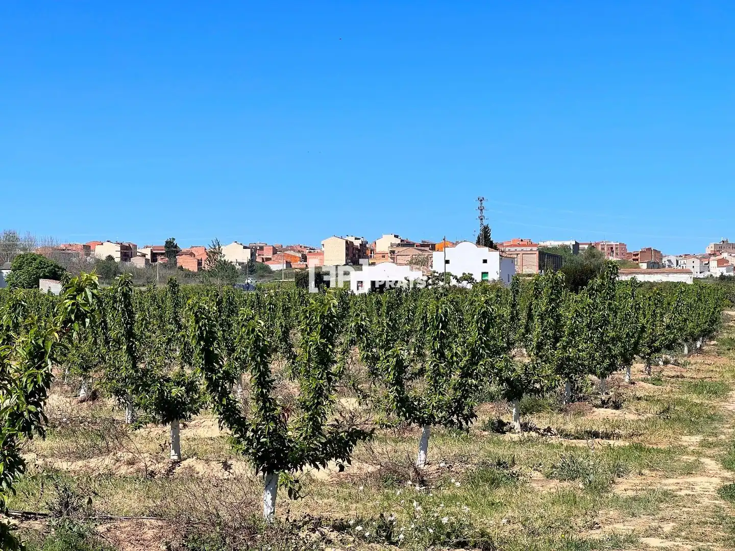 Exterior view of Houses for sale in Lleida  with Heating, Swimming Pool and Furnished