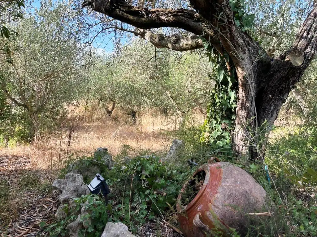 Casa o chalet en venta en Baldellou