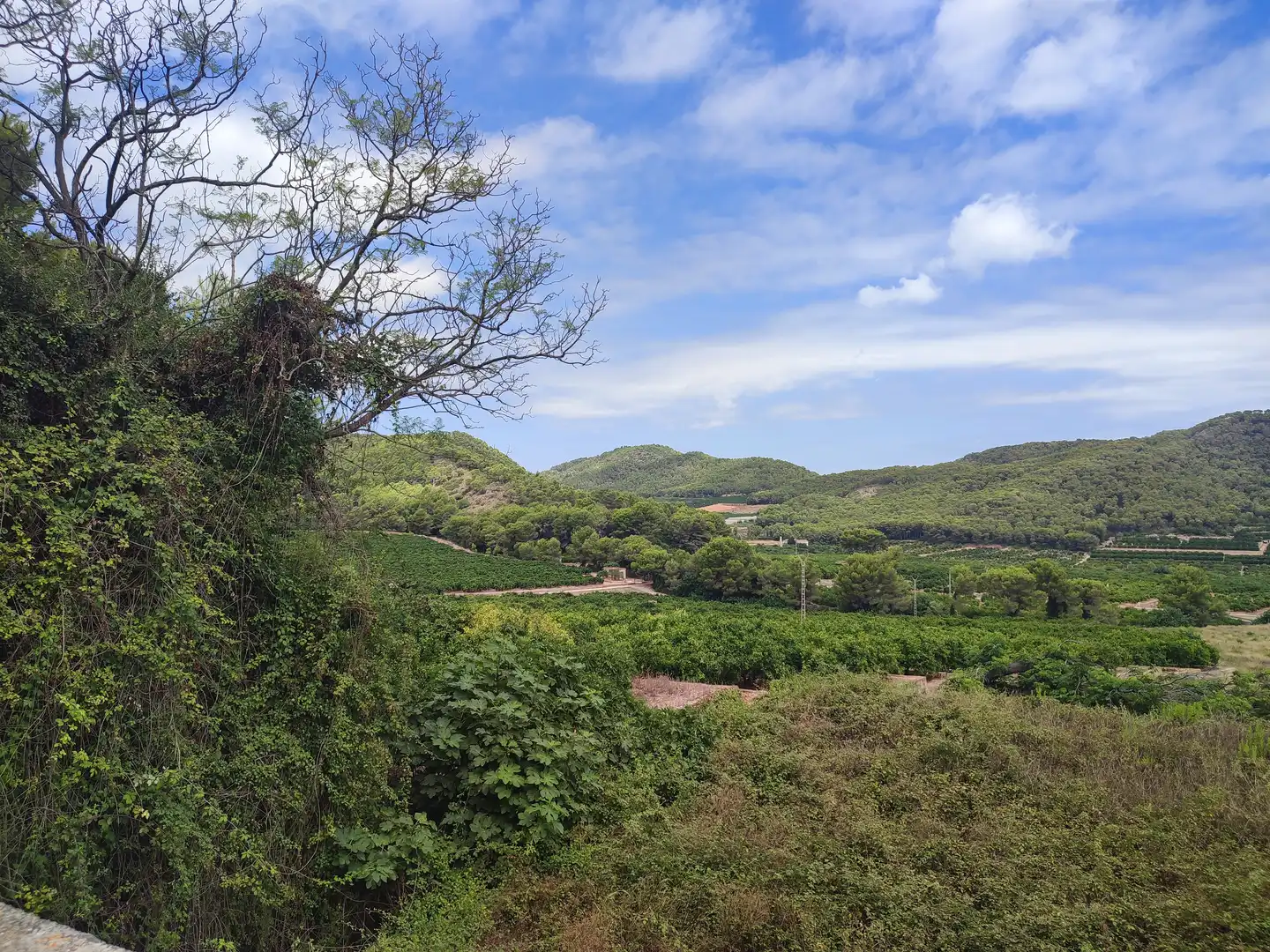Rural land for sale in Partida de Masalari, imagen 4