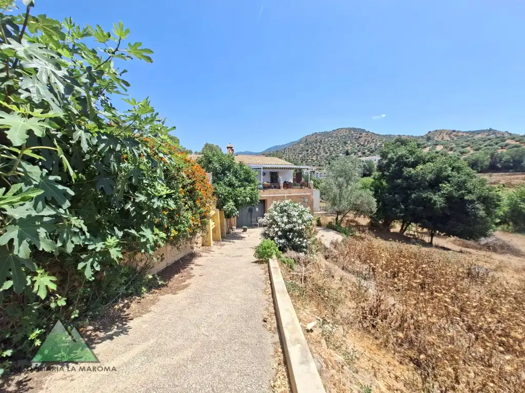 Maison à vendre à Barrio Cruce De Salia, imagen 14