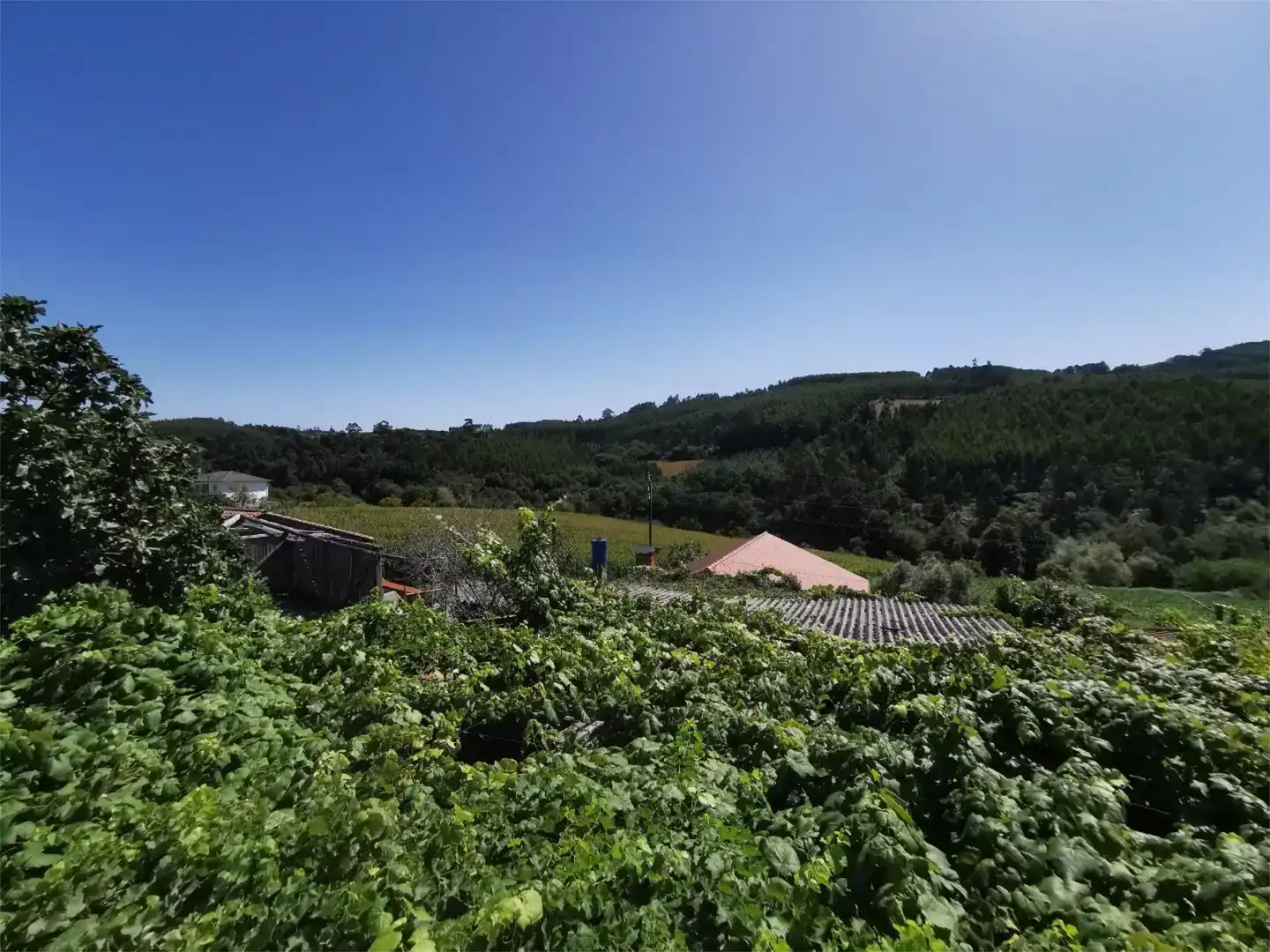 Casa o chalet en venta en Vila de Cruces