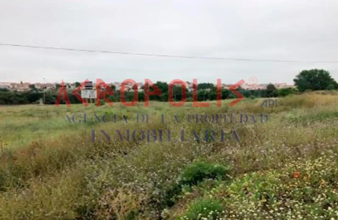 Terreni e lotti in vendita a San Isidro - Espíritu Santo, imagen 2