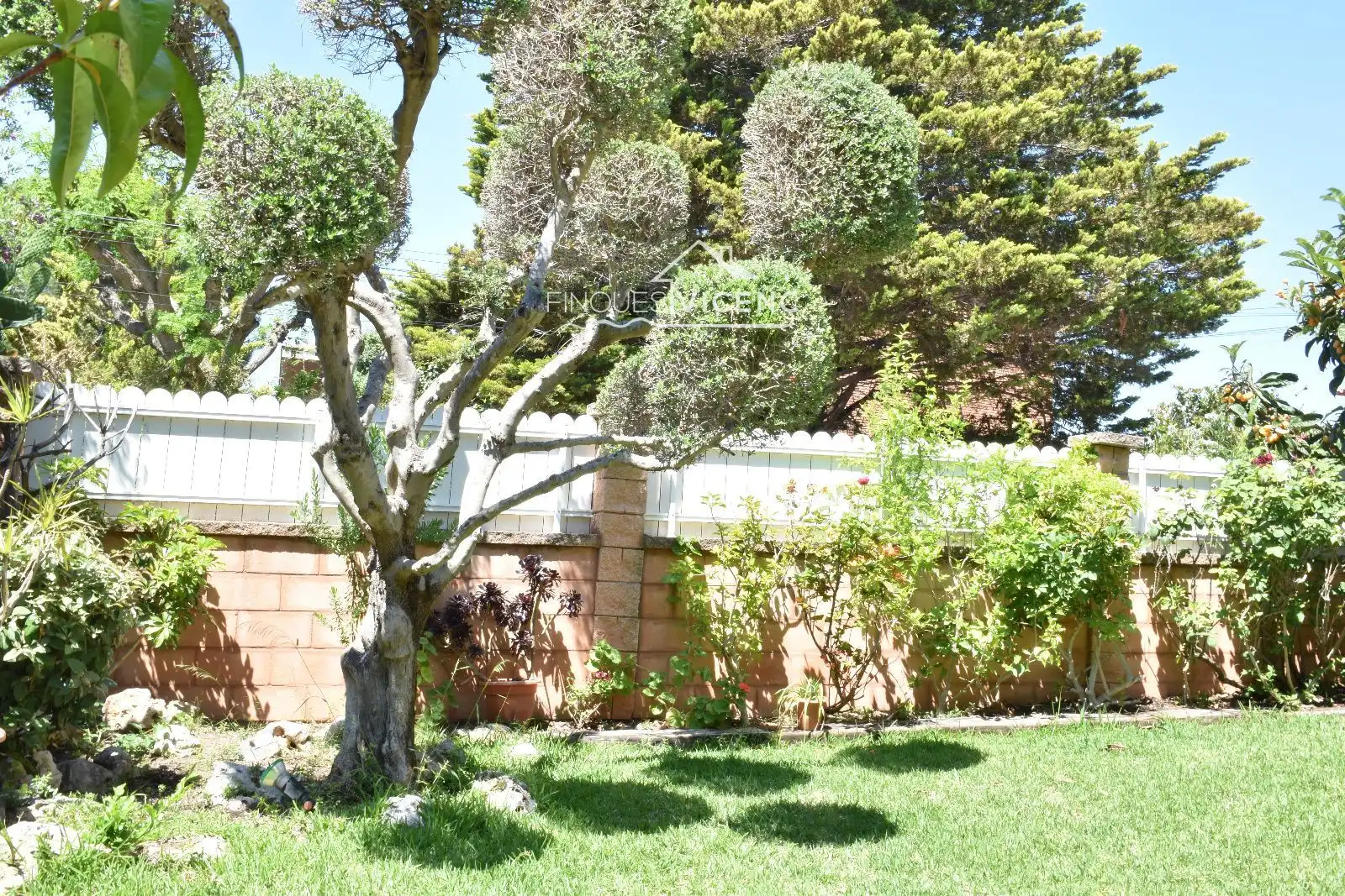 Villa avec piscine à vendre à DOCTOR ROUX, imagen 6