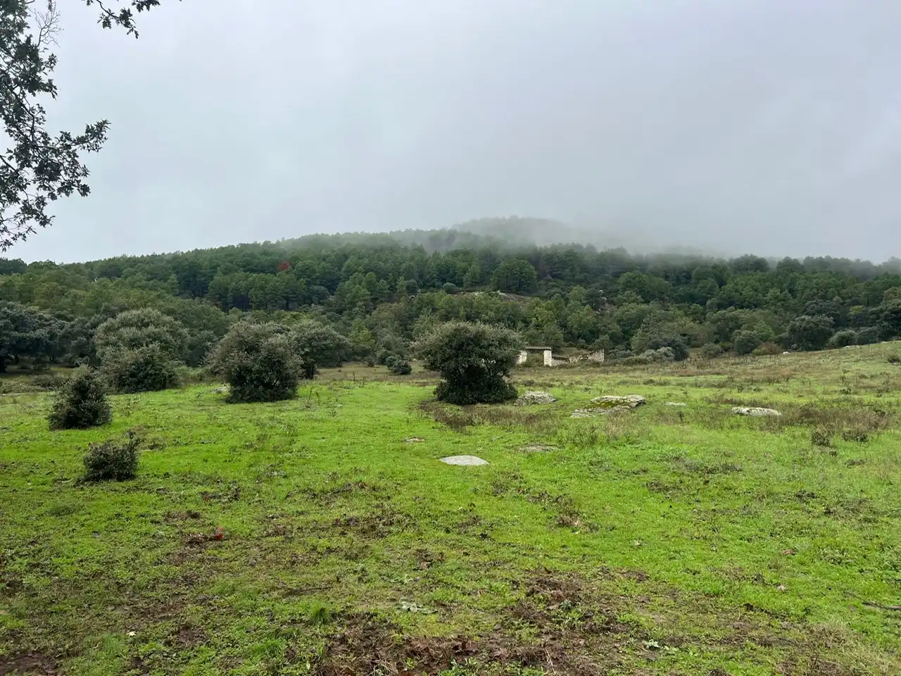 Grundstücke zum Verkauf in Lanzahíta