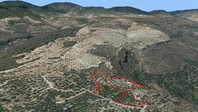 Terreno rustico in vendita a Travesia Jose Mariano Vallejo 4, imagen 19