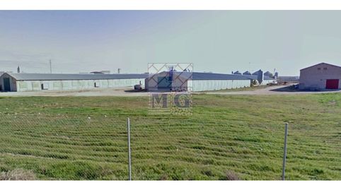 Foto 2 de Finca rústica en venta en Pedanías - Extrarradio, Albacete Capital